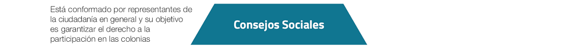 Consejos Sociales