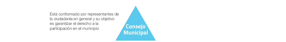 Consejo Municipal